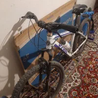 دوچرخه ویوا ۲۶ اصل|دوچرخه، اسکیت، اسکوتر|کامیاران, |دیوار