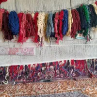 فرش ۶متری هریس تاجری نیمه کاره|فرش|باسمنج, |دیوار