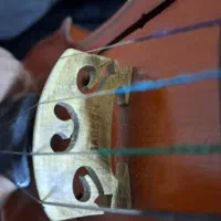 ویولون ویولن