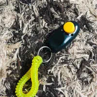 کلیکر آموزشی سگ و گربه