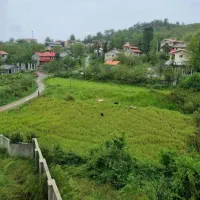 زمین  ۳۷۰ متری  ارتفاعات گمل لاهیجان