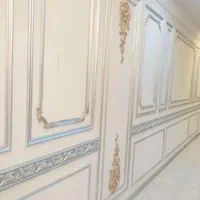 نقاشی ساختمان پتینه نقاش کناف بازسازی کل شیراز|خدمات پیشه و مهارت|شیراز, زرگری|دیوار