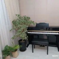 پیانو sw95  پلنوت فرانسه|پیانو، کیبورد، آکاردئون|مشهد, نوفل لوشاتو|دیوار