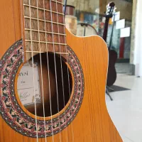 گیتار پارسی در همه مدل|گیتار، بیس، امپلیفایر|مشهد, الهیه|دیوار