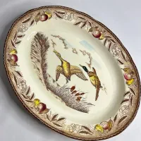 دیس ژاپنی طرح مرغابی