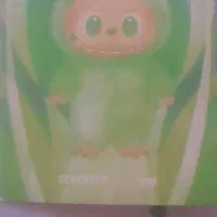 یک لبوبو در منطقه حاج طوسی گم شده