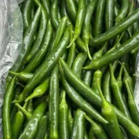 فلفل شاخ بزی