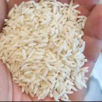 برنج طارم محلی تشریفاتی