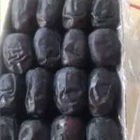 فروش خرما