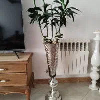 گل بامبو و گلدان