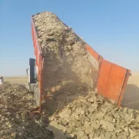 زل مرغ ( کود)
