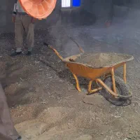 کود مرغی|خدمات باغبانی و درختکاری|رامشیر, |دیوار