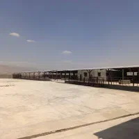 فروش گاوداری شیری صنعتی ۴۰۰۰ متری|فروش دفتر صنعتی، کشاورزی، تجاری|شیراز, کوشک بیدک|دیوار