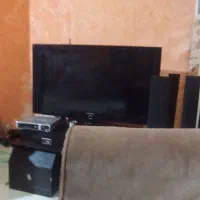 هم خانه فقط فقط خانم