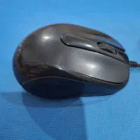 موس بیسیم و سیمی|قطعات و لوازم جانبی رایانه|اردبیل, |دیوار