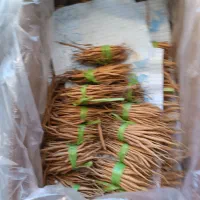 نشاع انغوزه