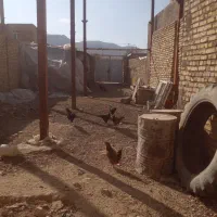 باسلام دوستان حیاط ۱۸۰ متری|فروش خانه و ویلا|خرمدشت, |دیوار