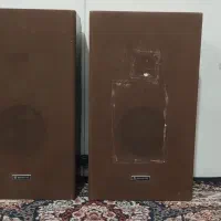 باند ژاپنی مارک سانیو