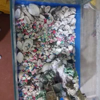 آکواریوم شیشه خم|ماهی|نظرآباد, رسالت|دیوار