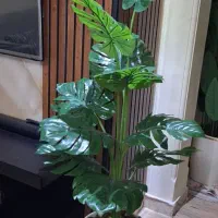 حراج(گل و درختچه مصنوعی خارجی) به مناسبت روز مادر|گل مصنوعی|تهران, تهرانسر شمالی|دیوار