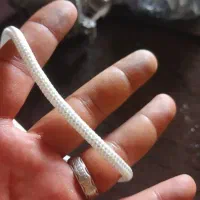 نیاز به کارگر ساده