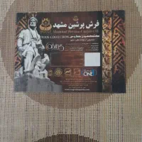 فرس ۱۲ متری پرشین مشهد
