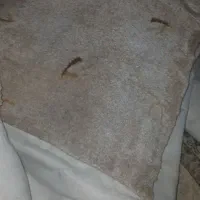 پالاز موکت ۴۵ متری