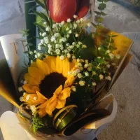 رهن ویلائی هفده شهریور نسترن