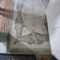 پادری