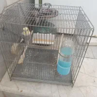 قفس استیل حرفه ای با تمام لوازمات