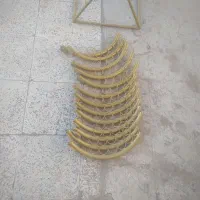 تعدادی رگال آویز چوب لباسی|حراج|اردبیل, |دیوار