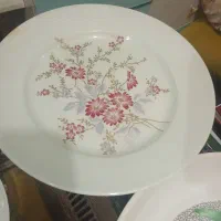 تعداد ۸۰بشقاب و دیس ملامین|ظروف سرو و پذیرایی|شیراز, کوزه گری|دیوار