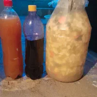 ترشی خوشمزه ابغوره|خوردنی و آشامیدنی|مریوان, |دیوار