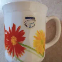 ماگ فرانسوی نو