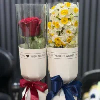 رز طلقی|گل و گیاه طبیعی|تهران, آهنگ|دیوار