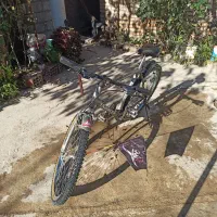 دوچرخه ۲۶ عروسک در حد نو|دوچرخه، اسکیت، اسکوتر|گنبد کاووس, |دیوار