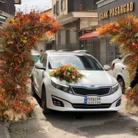 تشریفات مجالس عروس|خدمات پذیرایی، مراسم|رشت, معلم|دیوار