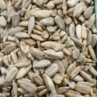 مغز تخمه تازه اعلا