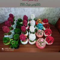 سنبل رز کاکتوس خمیرچینی