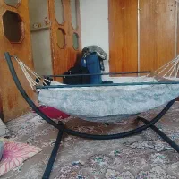 گهواره نوزاد