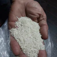 برنج هاشمی ۲۰۰ کیلو
