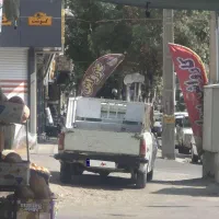 فروش پکان وانت