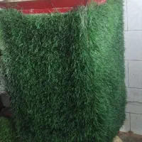 استندمیوه
