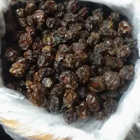آلوچه محلی
