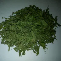 نعنا خشک ارگانیک