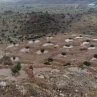 فروش ملک|خدمات باغبانی و درختکاری|نی‌ریز, |دیوار