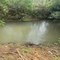 ویلا سرسبز و دنج در صومعه سرا|اجارهٔ کوتاهمدت ویلا و باغ|گوراب زرمیخ, |دیوار