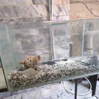 آکواریوم در ابعاد ۷۰ در ۳۰ با ارتفاع  ۴۰ سانت