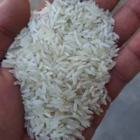 برنج تایلندی|خوردنی و آشامیدنی|اهواز, پردیس دو|دیوار