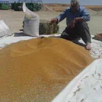 خدماتباغبانی